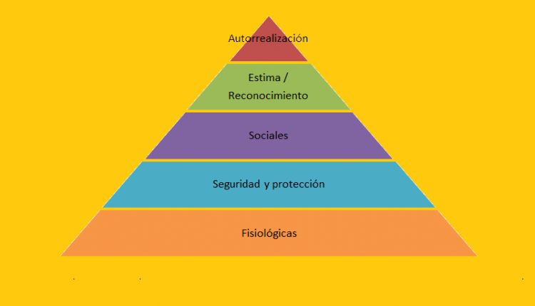 contenido