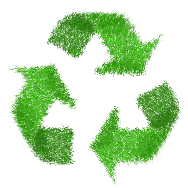 Cómo ganar dinero por reciclar