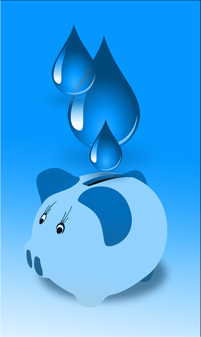 Cómo ahorrar agua
