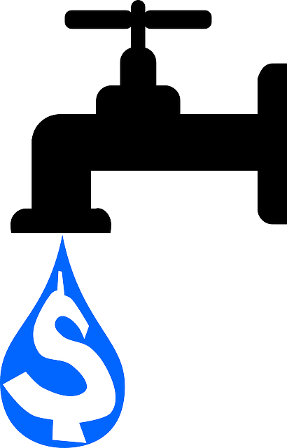 Cómo ahorrar agua