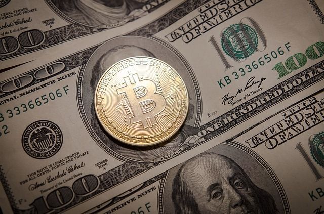 Satoshi Nakamoto