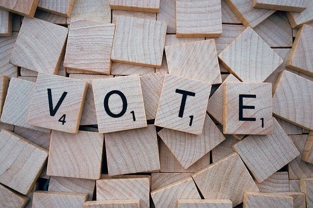 acción sin voto