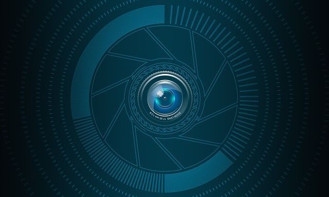 videovigilancia