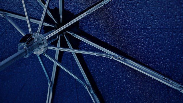 engranaje de la red de Umbrella y sus características