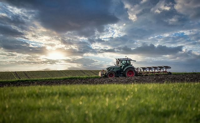 activos de tierras y cultivo