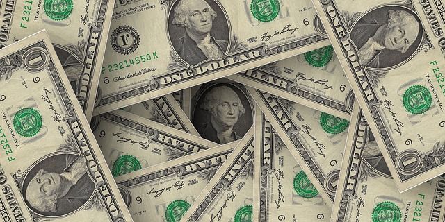 adaptar el dólar como moneda nacional
