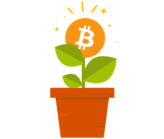 Bitcoin como ahorro