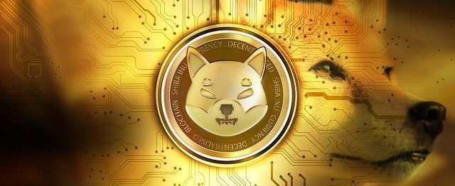 criptomonedas meme