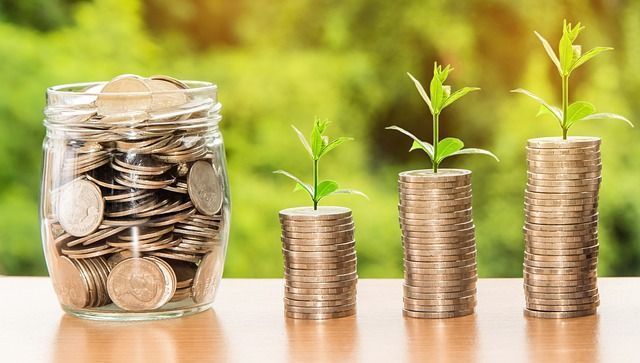 ahorro de capital de las personas y las empresas