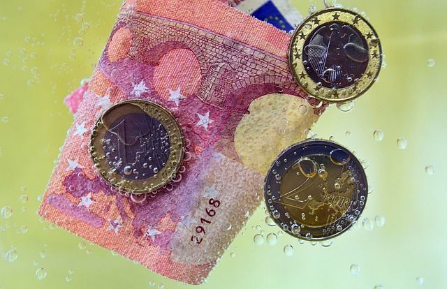 dinero en una burbuja especulativa