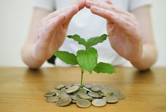 crecimiento y desarrollo de los ahorros