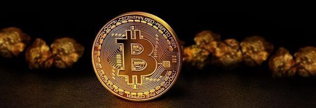 Las características de Bitcoin como activo limitado